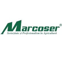 Marcoser Employee Catalin Petrache's profile photo