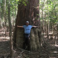 Michael Huffman Email & Phone Number