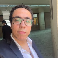 Kareem Hemaly Email