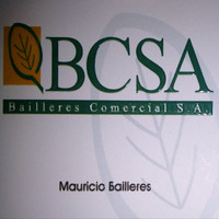 BCSA - British Constructional Steelwork Association Employee Mauricio Bailleres's profile photo