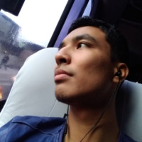 Raphael de Brito Amaro Email