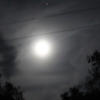 WSPA Employee Argy Bargy's profile photo