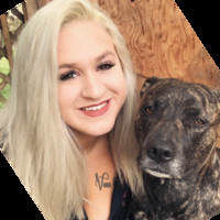 Stacia Rockey's profile photo