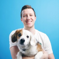 MKBHD Inc. Employee Andrew Manganelli's profile photo