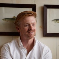 Email e telefono di Will Butler