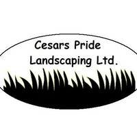 Andrew Cesar Email