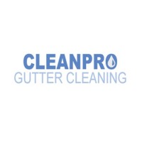 Clean Pro Gutter Cleaning Employee Fran P's profile photo