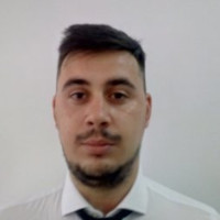 George Cristea Email