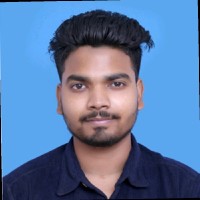 Royalti Employee Sarthak Mahankudo's profile photo
