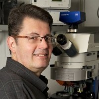 Mark Deming Consulting Employee Mark Deming's profile photo