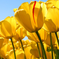 BioDlink Employee 钱娥's profile photo