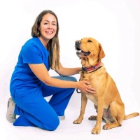 Kine Hjellegjerde Email