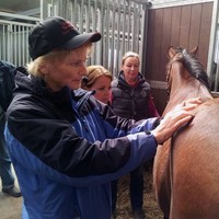 April Holistichorseworks