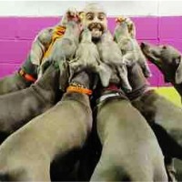 Barks n' Rec Employee Matthew Belvedere's profile photo