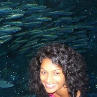 Coherent Design Employee Ellen Kuklinski's profile photo