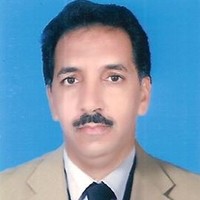 Ali Samin Email & Phone Number