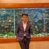 Sai Mutra's profile photo