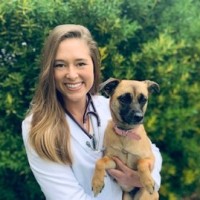Veterinary Emergency Group Employee Brooke Watson's profile photo