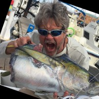 Retired Employee Matt Dye's profile photo