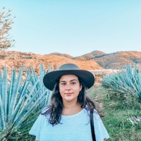 Made In Network Employee Adriana Baco's profile photo