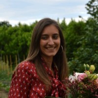 Sofia Zaccarelli Email