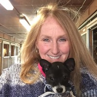 Kerrie Campagna Email & Phone Number
