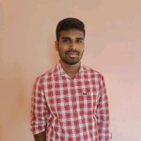 Digital Minds Solutions Employee Lokesh Vasamsetti's profile photo