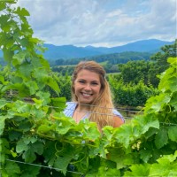 The Inn at Little Washington Careers Employee Amanda Starkey's profile photo
