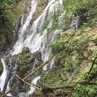 Equitable Life Employee Sue Weber's profile photo