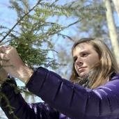 Katlin Dewitt Email & Phone Number