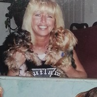 Jayne Gesmond Email & Phone Number