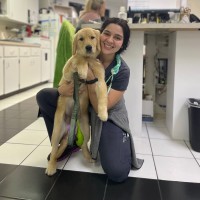 Advanced Veterinary Care Center Employee Alexis de Leon's profile photo