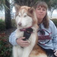 Electric Motor & Contracting Co., Inc Employee Melissa Griffin's profile photo