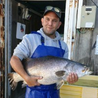 Dagon Employee Moti Shlomovich's profile photo