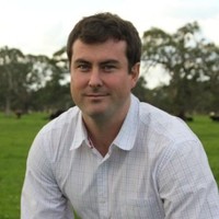 Matt Costello Email