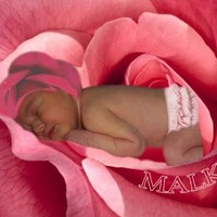 Private School Review Employee Rachel Wettenstein's profile photo