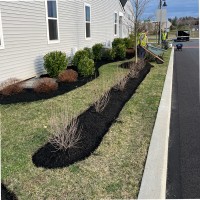 R & S Property Services Employee Vincent Talarico's profile photo