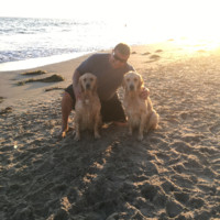 Teledyne FLIR Employee Ron Torchia's profile photo