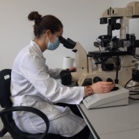 Clara Armas Moreno Email