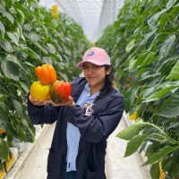 Ganfer Employee Andrea Dariana Alcantar Prado's profile photo