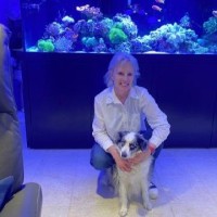 Noah's Ark Animal Clinics Employee Rebecca Rowe's profile photo