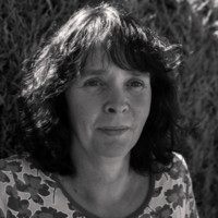 North Yorkshire Council Employee Tracey Lambert's profile photo