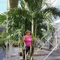 Pure Beauty Farms, Inc. Employee Cathy Mitchell's profile photo