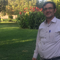 Ali Shahed Email