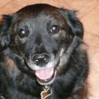 Thomas Cavanaugh Email