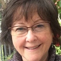 Donsuemor, Inc. Employee Lisa Johnson's profile photo