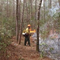 The Nature Conservancy Employee Chuck Byrd's profile photo