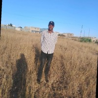 Nia Fiber Africa Limited Employee Aron Cheruiyot's profile photo