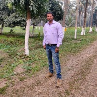 Jasmendar Chauhan Email