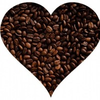 Caffeica Ltd. Employee Stephen Ray's profile photo